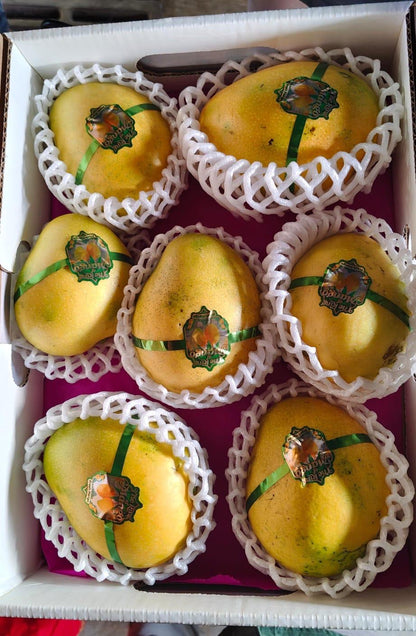 z "Gift Mango Box" - 5 Pcs Box (Shipping Extra)