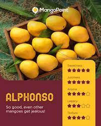 Alphonso