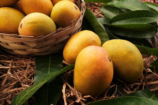 Kesar - Saffron Gold
