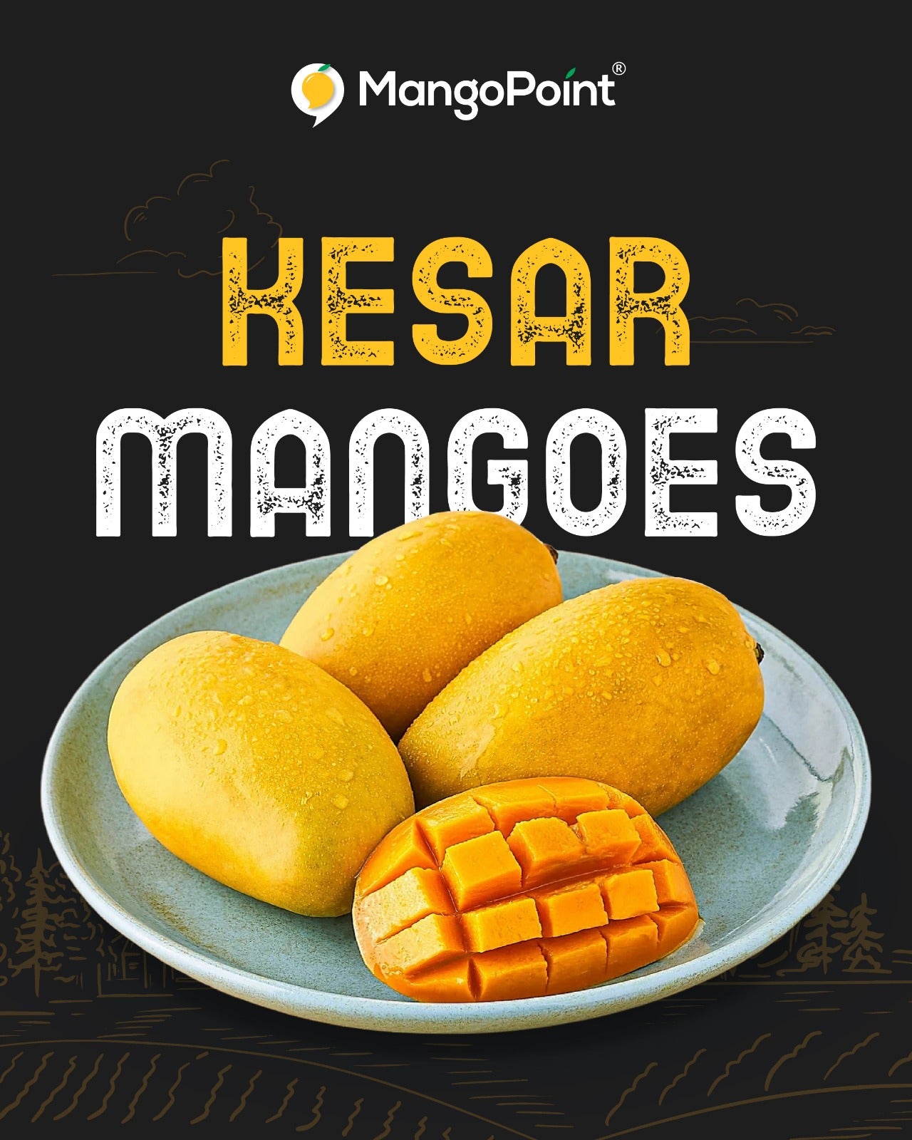Kesar - Saffron Gold